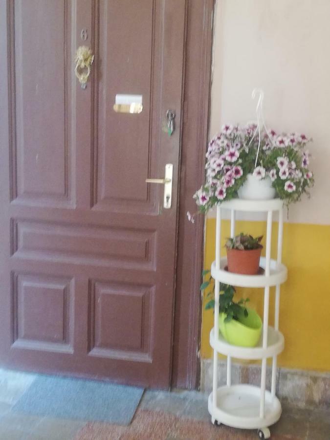 Galeria Apartman Σέγκεντ Εξωτερικό φωτογραφία